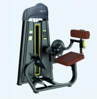 Разгибание спины Ultra Gym UG-ST 809