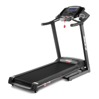 Беговая дорожка BH FITNESS PIONEER R2